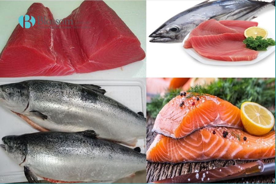 Các loại cá chứa nhiều omega-3, vitamin D và protein giúp tăng cường sức khỏe nướu.