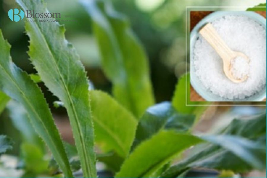 Nguyên nhân gây hôi miệng. Cách trị hôi miệng hiệu quả tại nhà 9 cach tri hoi mieng tai nha 8