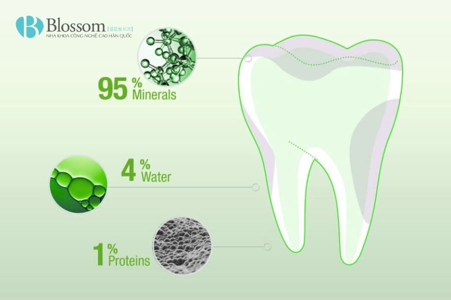 Phục hồi men răng - Giải pháp tự nhiên giúp răng chắc khỏe, hết ê buốt 1 phuc hoi men rang 1 1